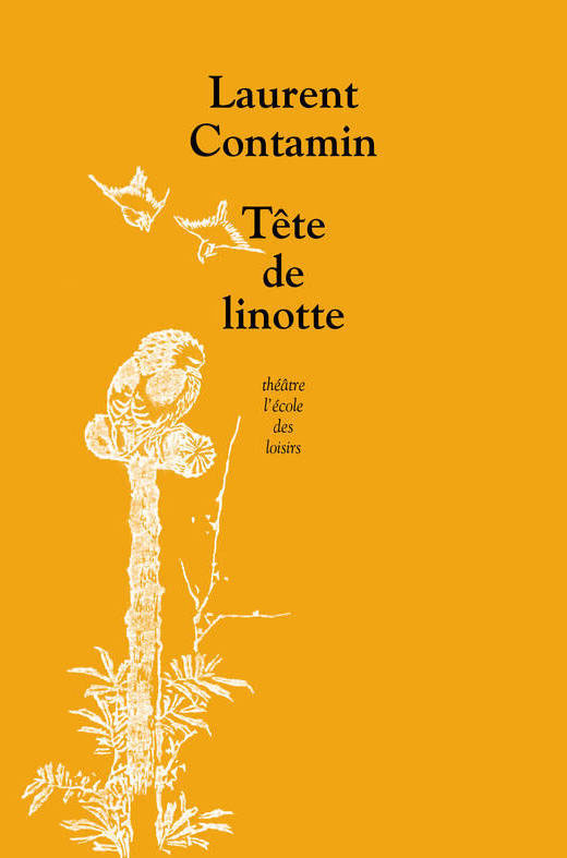 tetedelinotte-co